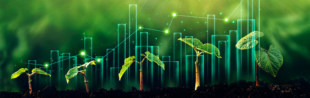 gráfico em crescimento com mudas de plantas ao fundo