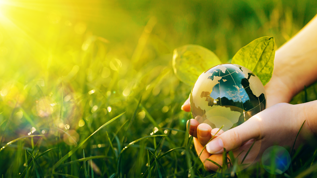 Meio ambiente e sustentabilidade: seus clientes estão procurando por isso?